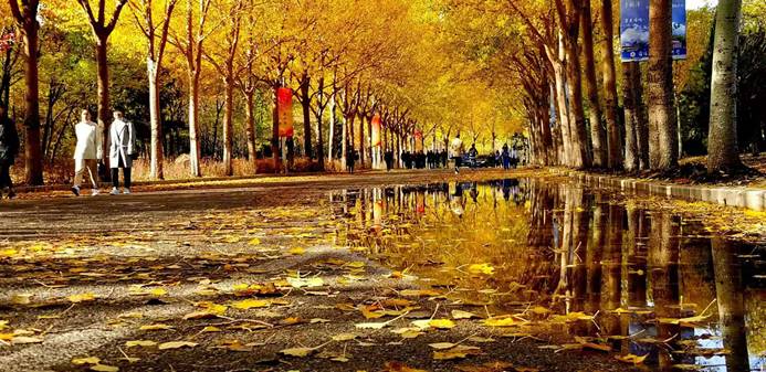 http://img.xiumi.us/xmi/ua/SNrp/i/73ed9a99f89d61738c1577f84d6d50ca-sz_475759.jpg?x-oss-process=style/xmorient